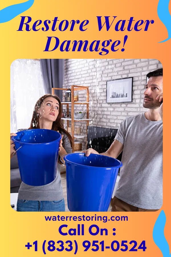 water restoration Ace Disaster Recovery Services Blackwood